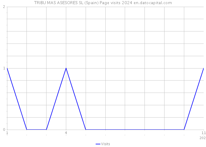 TRIBU MAS ASESORES SL (Spain) Page visits 2024 