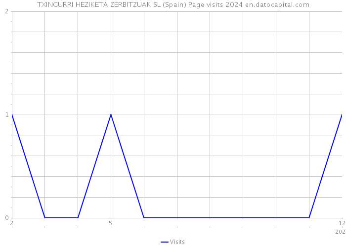 TXINGURRI HEZIKETA ZERBITZUAK SL (Spain) Page visits 2024 