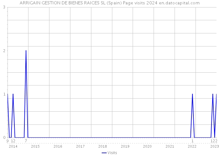 ARRIGAIN GESTION DE BIENES RAICES SL (Spain) Page visits 2024 