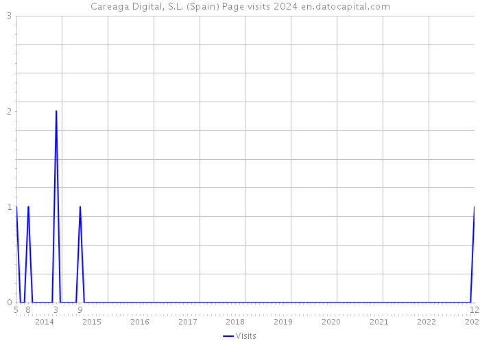 Careaga Digital, S.L. (Spain) Page visits 2024 