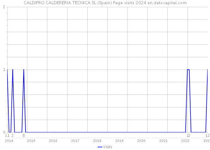 CALDIPRO CALDERERIA TECNICA SL (Spain) Page visits 2024 