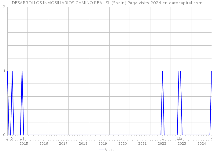 DESARROLLOS INMOBILIARIOS CAMINO REAL SL (Spain) Page visits 2024 