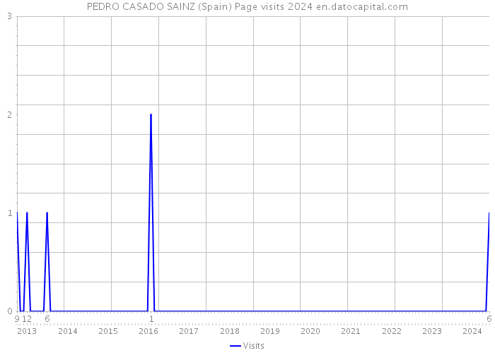 PEDRO CASADO SAINZ (Spain) Page visits 2024 