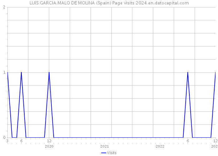 LUIS GARCIA MALO DE MOLINA (Spain) Page visits 2024 