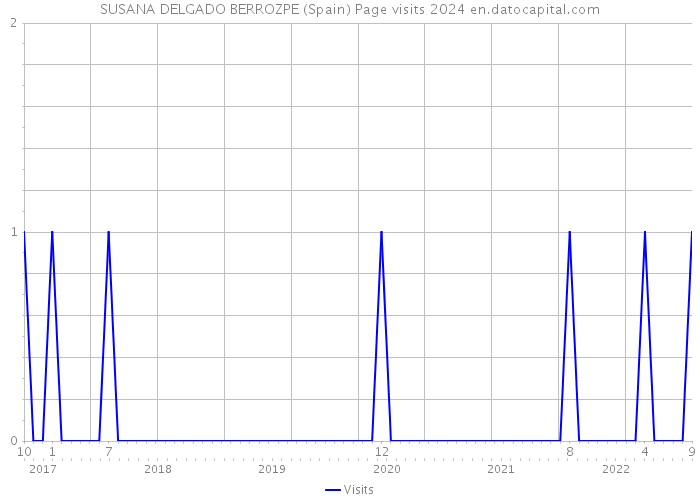 SUSANA DELGADO BERROZPE (Spain) Page visits 2024 