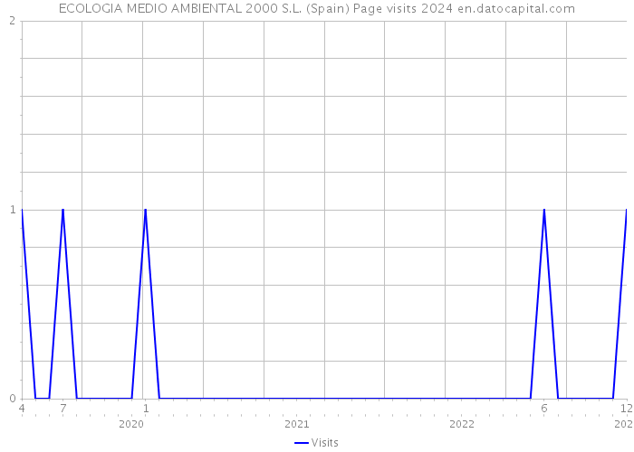 ECOLOGIA MEDIO AMBIENTAL 2000 S.L. (Spain) Page visits 2024 