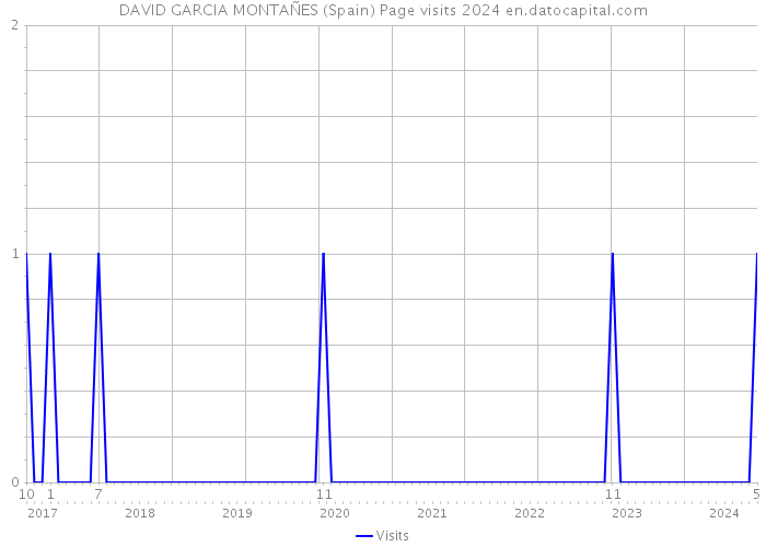 DAVID GARCIA MONTAÑES (Spain) Page visits 2024 