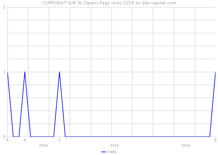 CORPODAT SUR SL (Spain) Page visits 2024 