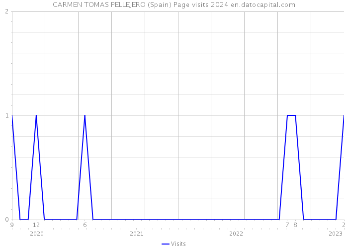 CARMEN TOMAS PELLEJERO (Spain) Page visits 2024 