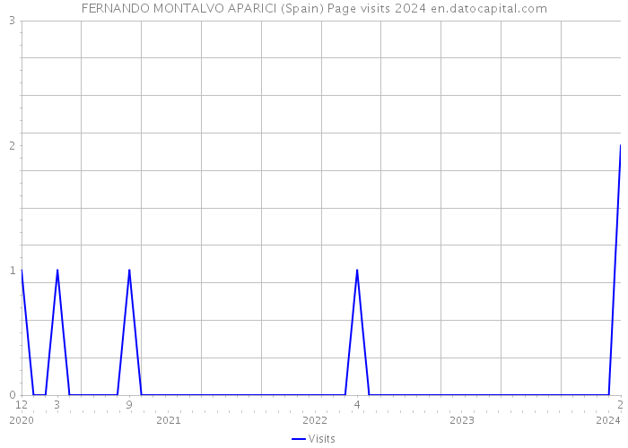 FERNANDO MONTALVO APARICI (Spain) Page visits 2024 