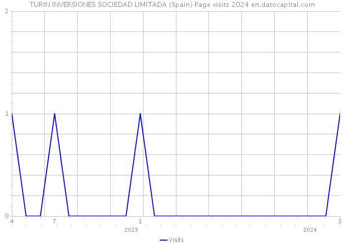TURIN INVERSIONES SOCIEDAD LIMITADA (Spain) Page visits 2024 