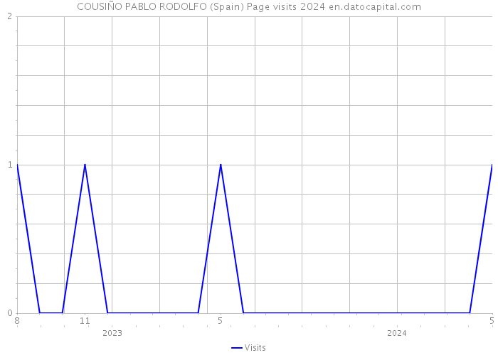 COUSIÑO PABLO RODOLFO (Spain) Page visits 2024 