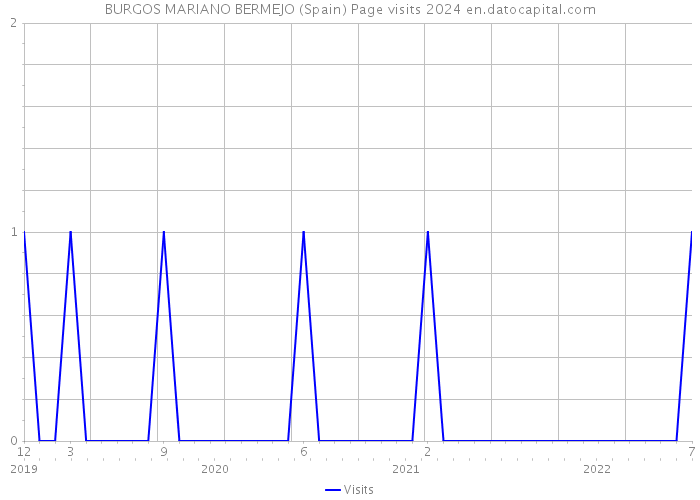 BURGOS MARIANO BERMEJO (Spain) Page visits 2024 