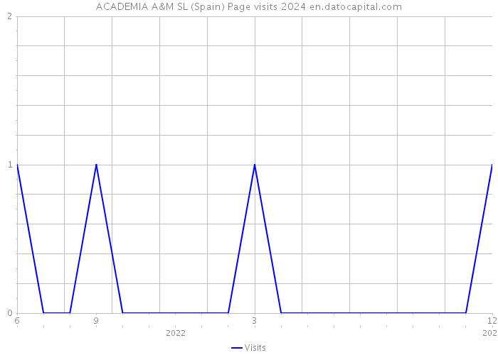 ACADEMIA A&M SL (Spain) Page visits 2024 