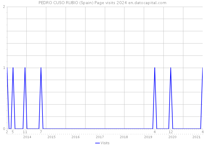 PEDRO CUSO RUBIO (Spain) Page visits 2024 