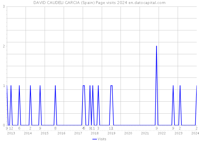 DAVID CAUDELI GARCIA (Spain) Page visits 2024 