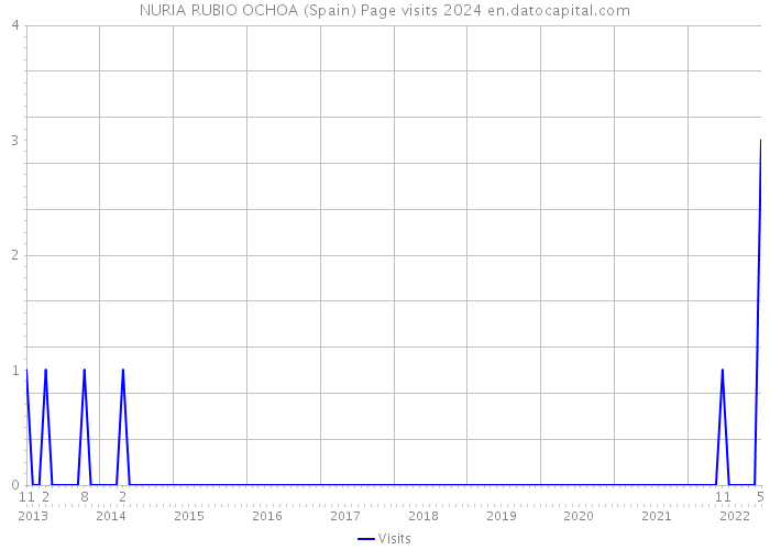 NURIA RUBIO OCHOA (Spain) Page visits 2024 