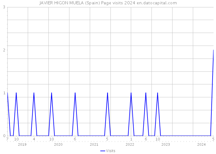JAVIER HIGON MUELA (Spain) Page visits 2024 
