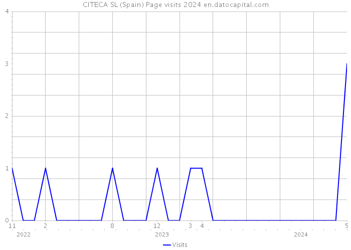 CITECA SL (Spain) Page visits 2024 