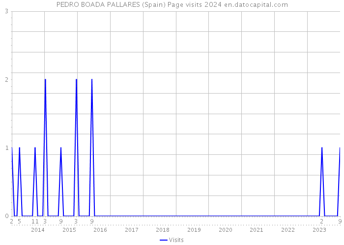 PEDRO BOADA PALLARES (Spain) Page visits 2024 