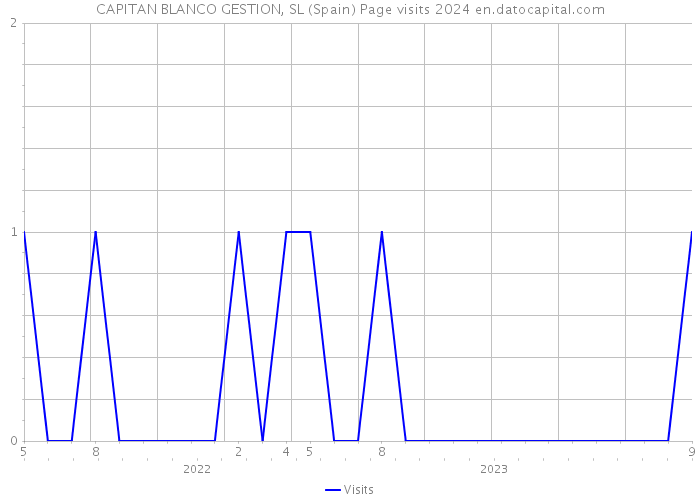 CAPITAN BLANCO GESTION, SL (Spain) Page visits 2024 