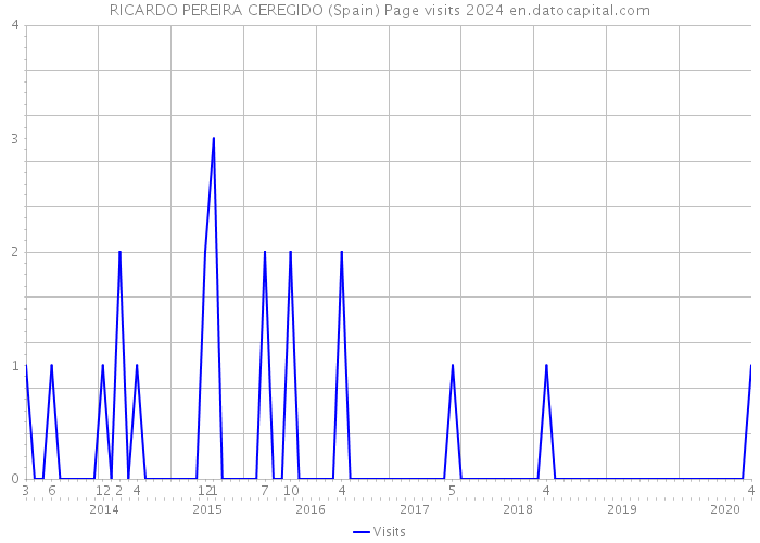 RICARDO PEREIRA CEREGIDO (Spain) Page visits 2024 