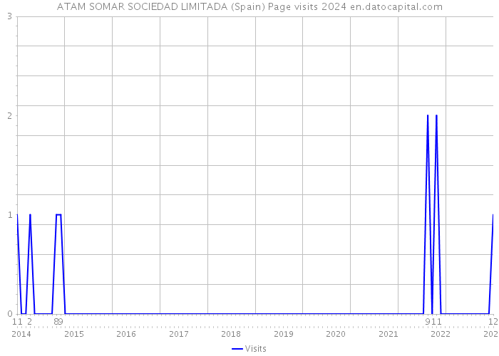 ATAM SOMAR SOCIEDAD LIMITADA (Spain) Page visits 2024 