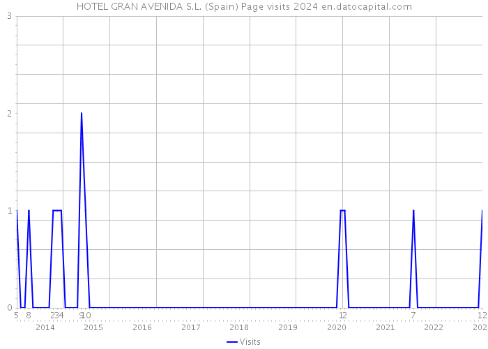 HOTEL GRAN AVENIDA S.L. (Spain) Page visits 2024 