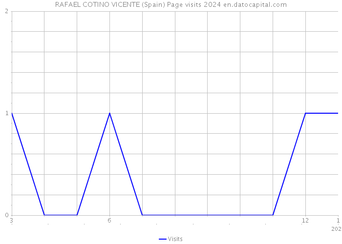 RAFAEL COTINO VICENTE (Spain) Page visits 2024 