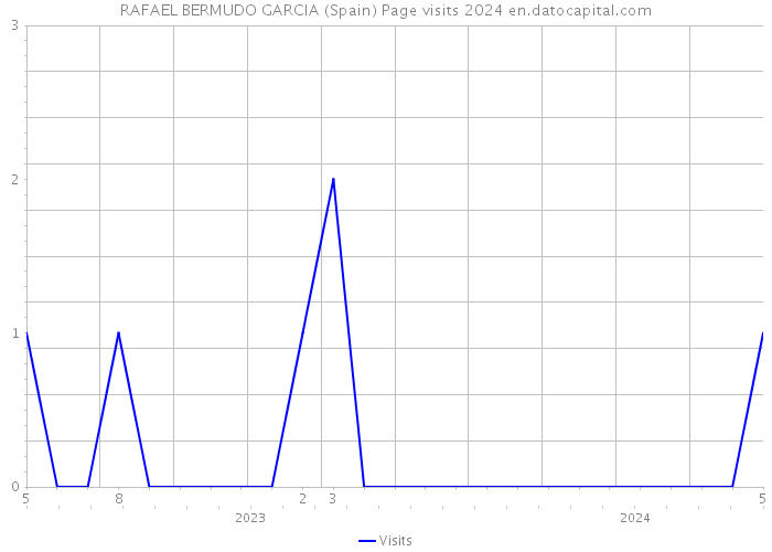 RAFAEL BERMUDO GARCIA (Spain) Page visits 2024 