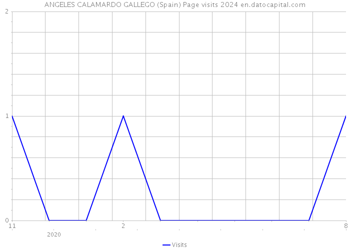 ANGELES CALAMARDO GALLEGO (Spain) Page visits 2024 