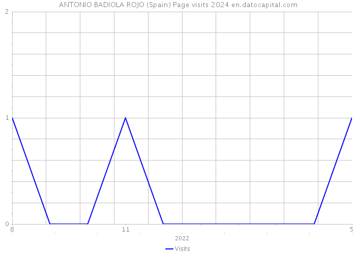 ANTONIO BADIOLA ROJO (Spain) Page visits 2024 
