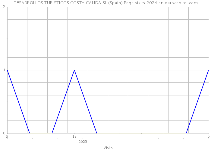 DESARROLLOS TURISTICOS COSTA CALIDA SL (Spain) Page visits 2024 