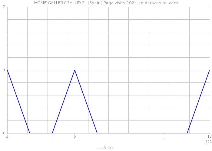 HOME GALLERY SALUD SL (Spain) Page visits 2024 