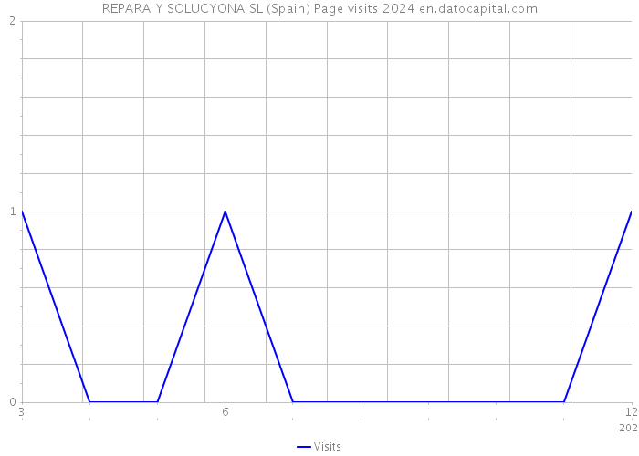 REPARA Y SOLUCYONA SL (Spain) Page visits 2024 