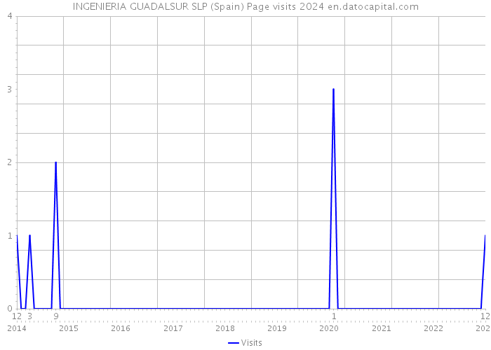 INGENIERIA GUADALSUR SLP (Spain) Page visits 2024 