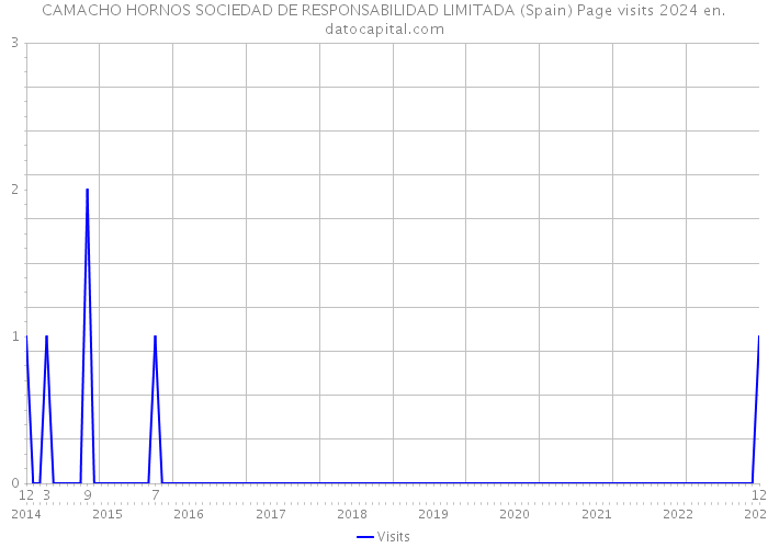 CAMACHO HORNOS SOCIEDAD DE RESPONSABILIDAD LIMITADA (Spain) Page visits 2024 