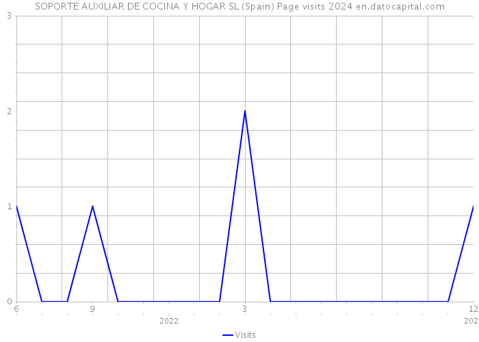 SOPORTE AUXILIAR DE COCINA Y HOGAR SL (Spain) Page visits 2024 