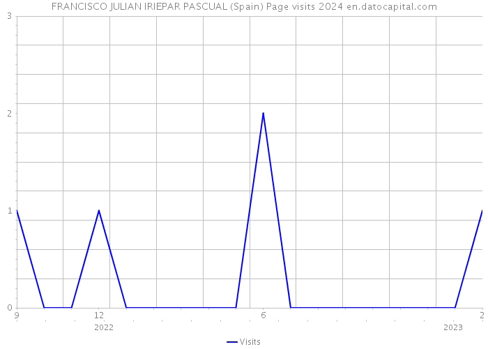 FRANCISCO JULIAN IRIEPAR PASCUAL (Spain) Page visits 2024 