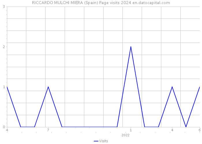 RICCARDO MULCHI MIERA (Spain) Page visits 2024 