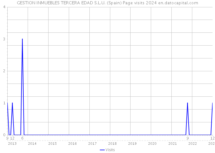 GESTION INMUEBLES TERCERA EDAD S.L.U. (Spain) Page visits 2024 