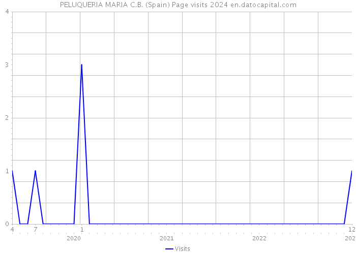 PELUQUERIA MARIA C.B. (Spain) Page visits 2024 