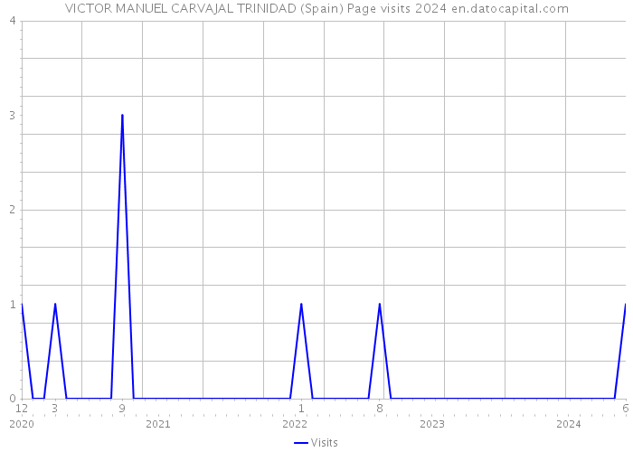 VICTOR MANUEL CARVAJAL TRINIDAD (Spain) Page visits 2024 