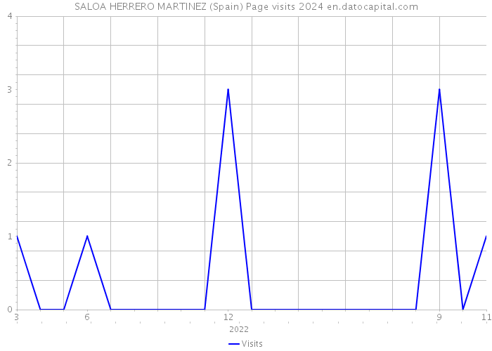 SALOA HERRERO MARTINEZ (Spain) Page visits 2024 