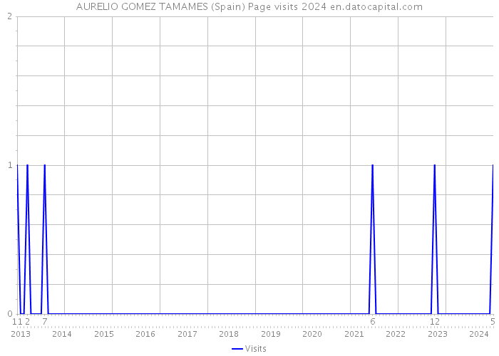 AURELIO GOMEZ TAMAMES (Spain) Page visits 2024 