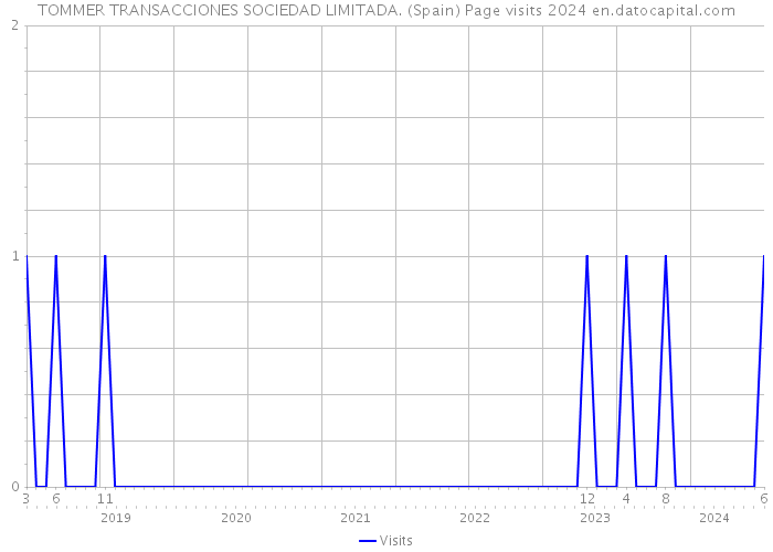 TOMMER TRANSACCIONES SOCIEDAD LIMITADA. (Spain) Page visits 2024 