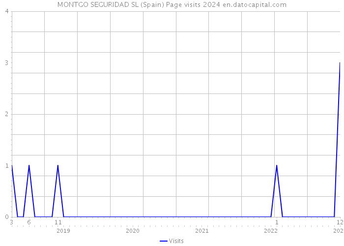 MONTGO SEGURIDAD SL (Spain) Page visits 2024 