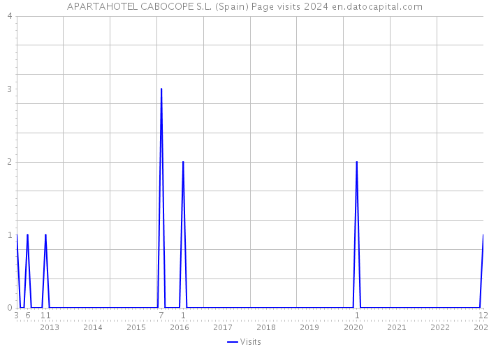 APARTAHOTEL CABOCOPE S.L. (Spain) Page visits 2024 