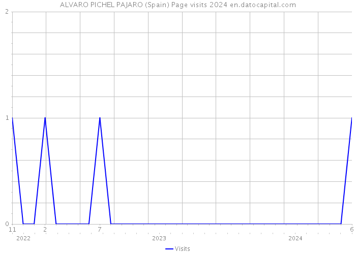 ALVARO PICHEL PAJARO (Spain) Page visits 2024 