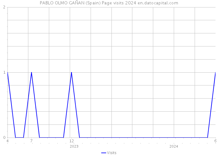 PABLO OLMO GAÑAN (Spain) Page visits 2024 